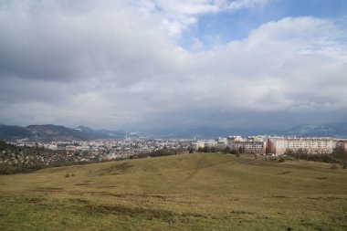 Ağaçlar ve manzaralı çayırda puslu bir sabah. Slovakya