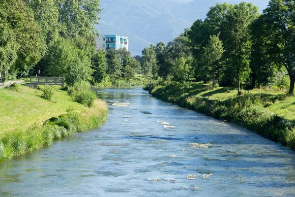 Vista Sul Fiume Circondato Una Vegetazione Lussureggiante — Foto Stock