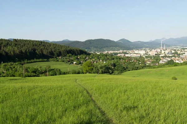 Hermosa Hierba Verde Eslovaquia — Foto de Stock