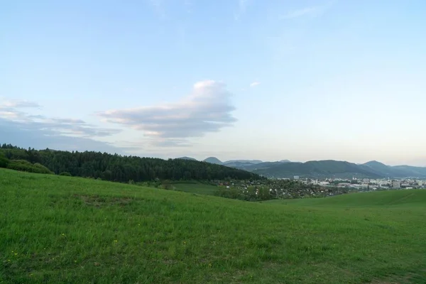 Mattina Nebbiosa Sul Prato Con Alberi Vista Slovacchia — Foto Stock