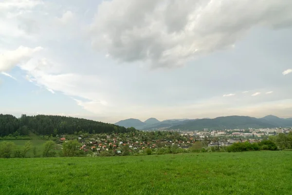 Grüne Bergwiesenlandschaft — Stockfoto