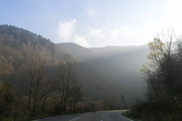 Schöner Herbstwald Mit Nebel Und Bäumen — Stockfoto