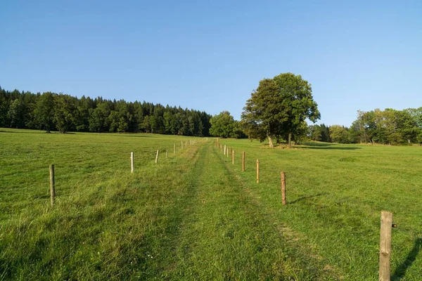 Gyönyörű Tavaszi Domb Fákkal — Stock Fotó