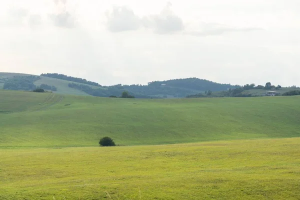 Beautiful Spring Hill Trees Slovakia — Stock Photo, Image