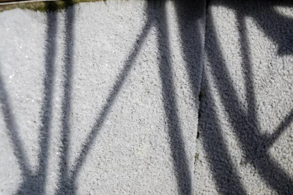 Sombra Bicicleta Superficie Pared Hormigón —  Fotos de Stock