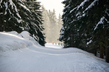 Doğa kışın karla kaplıdır. Slovakya