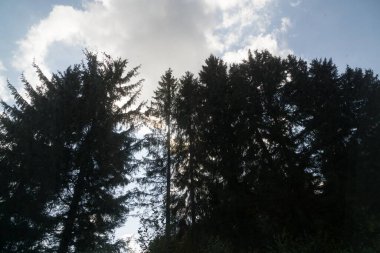 Yazın dağların manzarası