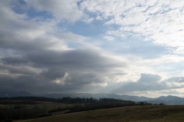 Ağaçlar ve manzaralı çayırda puslu bir sabah. Slovakya