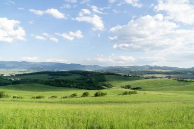 Ağaçlar ve manzaralı çayırda puslu bir sabah. Slovakya