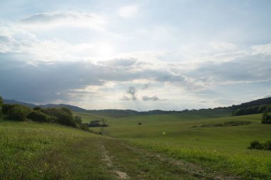Slovakya 'da ağaçları olan güzel bir bahar tepesi