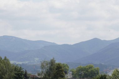 Ormandaki ağaçlar ve patikalar. Slovakya