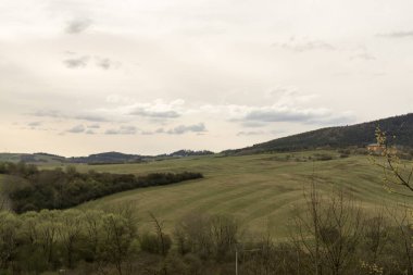 Yeşil dağ çayırı manzarası
