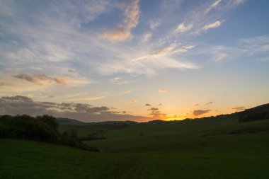 Ağaçlar ve manzaralı çayırda puslu bir sabah. Slovakya