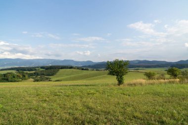Slovakya 'da ağaçları olan güzel bir bahar tepesi