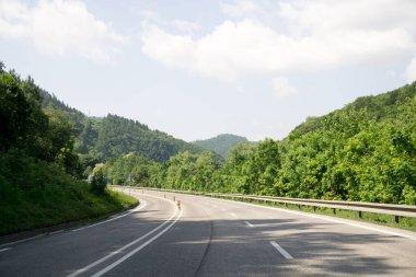 Etrafı yeşilliklerle çevrili güneşli bir yol. Slovakya