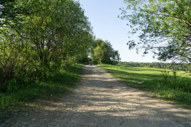Slovakya 'da güzel yeşil çimenler