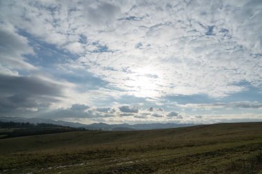 Ağaçlar ve manzaralı çayırda puslu bir sabah. Slovakya