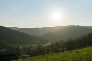 Ormanda sonbahar ağaçları, Slovakya