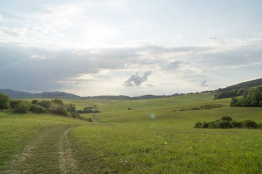 Slovakya 'da ağaçları olan güzel bir bahar tepesi