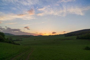 Ağaçlar ve manzaralı çayırda puslu bir sabah. Slovakya