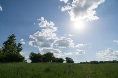 Slovakya 'da güzel yeşil çimenler
