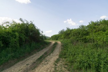 Kırsal kesimde kırsal kesimde gündüz çekimleri