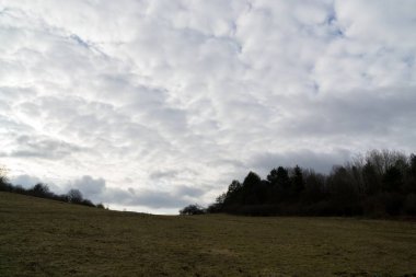 Ormandaki ağaçlar ve patikalar. Slovakya