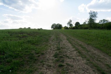 Slovakya 'da güzel yeşil çimenler