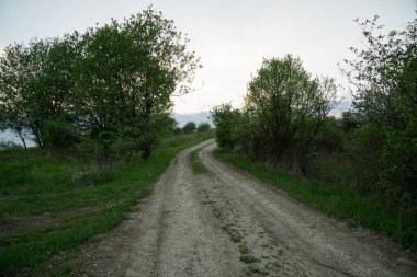 Ormandaki ağaçlar ve patikalar. Slovakya