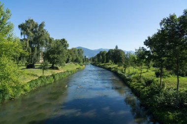 Bereketli yeşillikle çevrili nehir manzarası