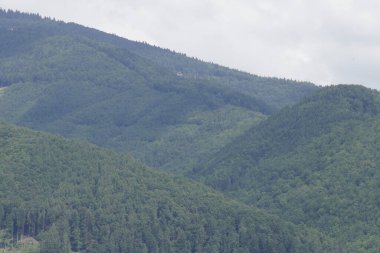 Yeşil çimenler ve bulutlarla kaplı dağ manzarası