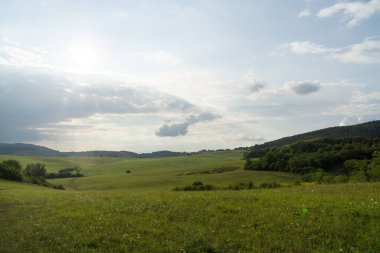 Slovakya 'da ağaçları olan güzel bir bahar tepesi