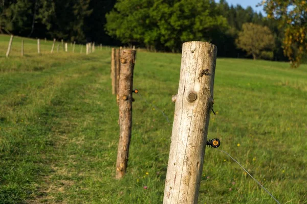 Деревянный Забор Ферме Чехия — стоковое фото