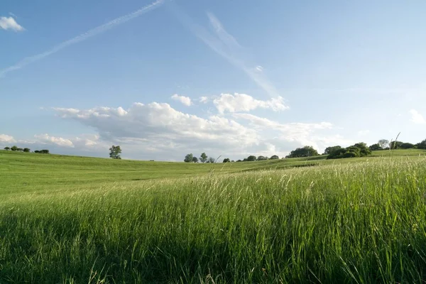 Beautiful Green Grass Slovakia — Stock Photo, Image