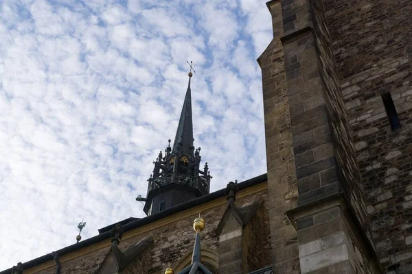 Brno République Tchèque Septembre 2018 Cathédrale Saint Pierre Paul Dans — Photo