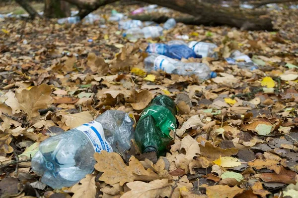 Maple Leaves Garbage Background Close — Stock Photo, Image