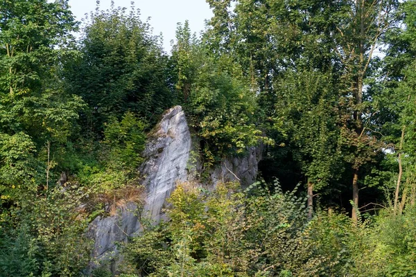 Rocks Woods Czech Republic — Stock Photo, Image