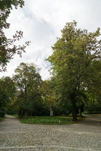 Bomen Paden Het Bos Slowakije — Stockfoto