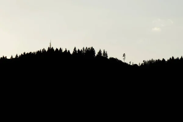 Silhuetas Árvores Nas Montanhas — Fotografia de Stock