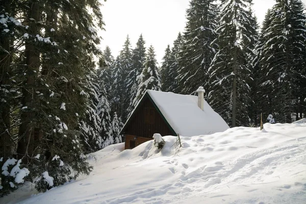 Natureza Coberta Neve Durante Inverno Eslováquia — Fotografia de Stock