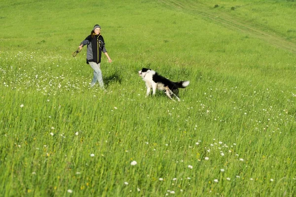 緑の野で可愛い犬と遊んでいる女性は — ストック写真