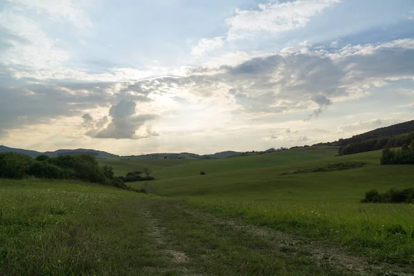 Paesaggio Con Erba Verde Cielo Blu — Foto Stock