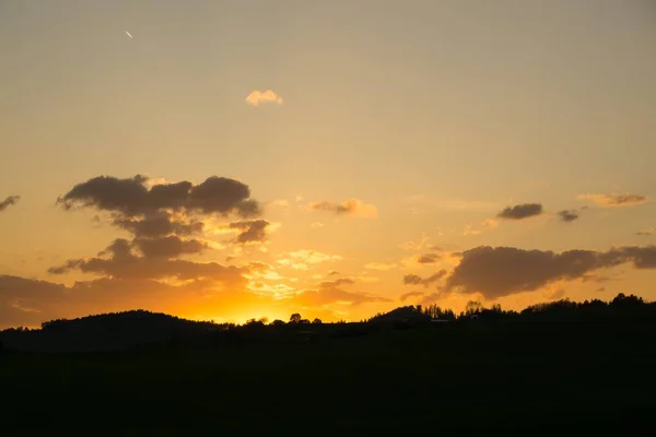 金色の夕焼け空に雲が浮かぶシルエットの木 — ストック写真