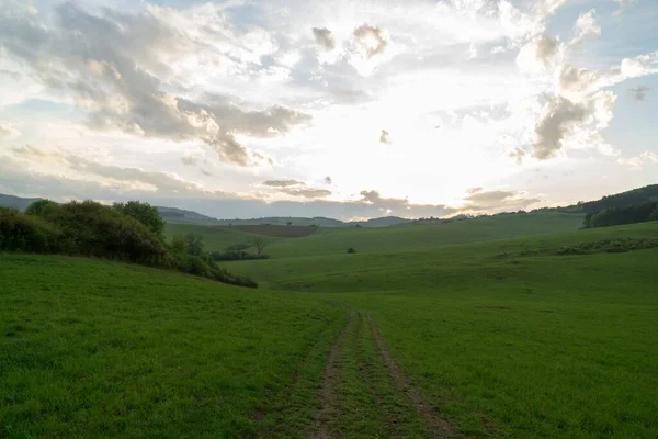 Paisagem Verde Prado — Fotografia de Stock