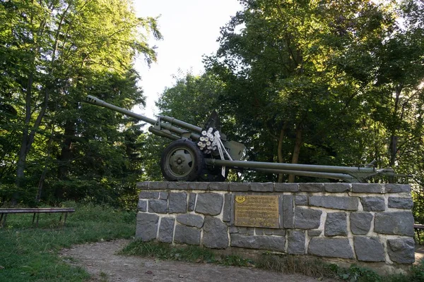 Old Military Gun Park — Stock Photo, Image