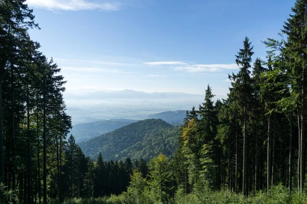 Färgglada Höstskog Med Träd Slovakien — Stockfoto