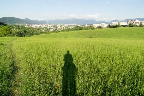 Salida Puesta Del Sol Sobre Los Edificios Ciudad Zilina Países —  Fotos de Stock