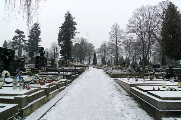 Zilina Slovakia 2018 Cemetery Covered Snow Winter 슬로바키아 — 스톡 사진