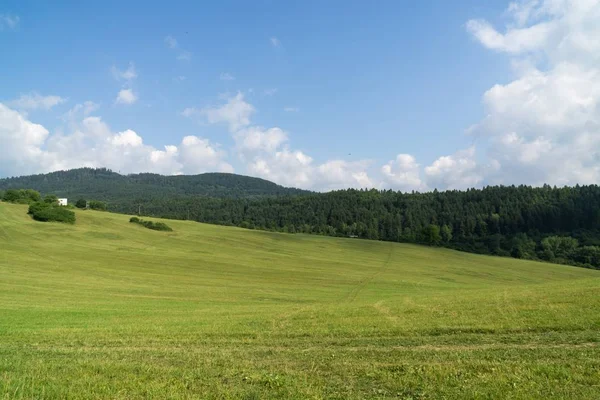 Paisaje Verano Con Hierba Verde Cielo Azul — Foto de Stock