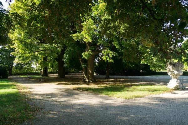 Gröna Träd Vacker Park — Stockfoto